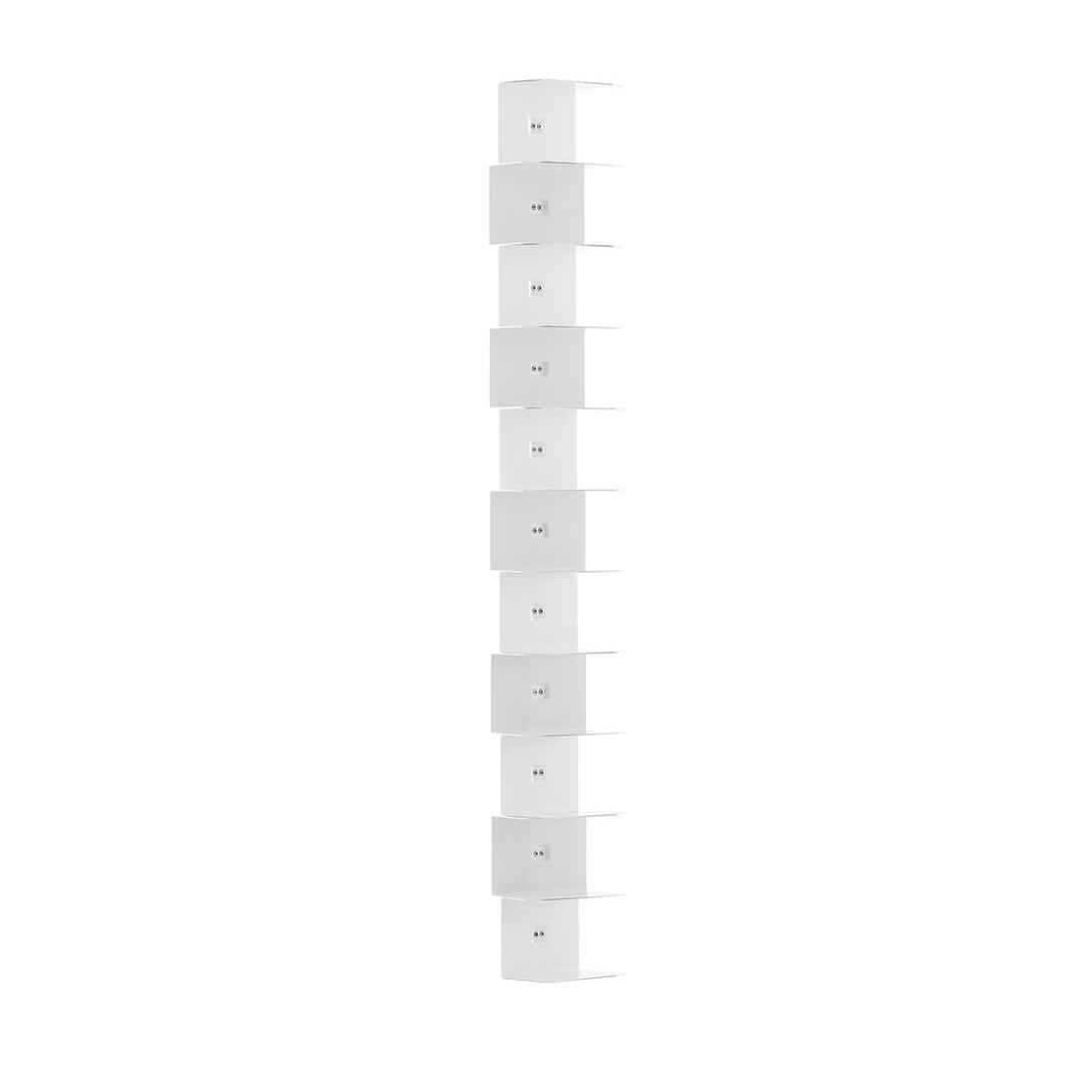 Ptolomeo Wall - h 155